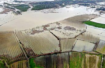 Efteni Kuş Cenneti Gölü havzası eriyen karla suya doydu
