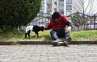 Evde baktıkları oğlağı biberonla besliyorlar