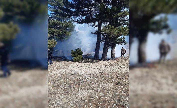 Göynük'te ormanlık alanda çıkan yangın söndürüldü