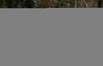 Güneş enerjisini yeşil dostu ısıya dönüştüren teknoloji ödül getirdi