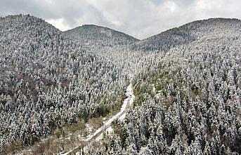 Karabük'te nisanda yağan kar, ormanlık alanı beyaza bürüdü