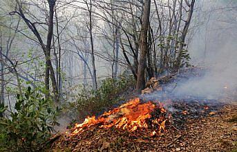 Ordu'da örtü yangını söndürüldü