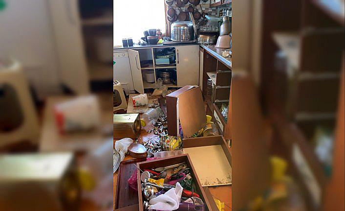 Rize'de yiyecek arayan yaban hayvanları işletmelere zarar verdi