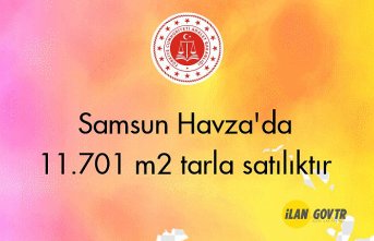 Samsun Havza'da 11.701 m² tarla mahkemeden satılıktır