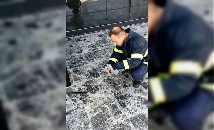 Amasya'da yangında dumandan etkilenen kedi itfaiyenin müdahalesiyle kurtarıldı