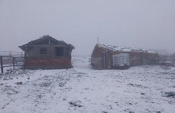 Amasya'nın yüksek kesimlerinde kar etkili oldu