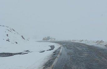 Artvin'in yüksek kesimlerinde kar etkili oldu
