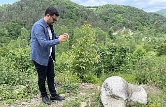 Bartın'da yol çalışması sırasında tarihi eser kalıntısı bulundu