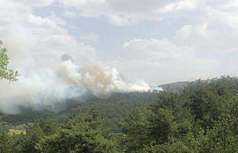 Bolu'da çıkan orman yangınına müdahale ediliyor