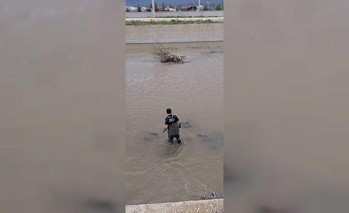 Bolu'da derede mahsur kalan köpeği itfaiye kurtardı