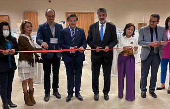 Karabük'teki sempozyumda deri, 