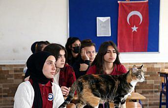 Lise öğrencilerinin yeni okul arkadaşı kedi 