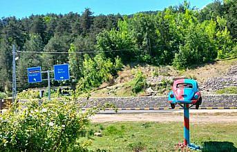 Ovacuma vosvosunun rengi bu sene bordo-mavi