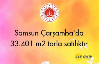 Samsun Çarşamba'da 33.401 m² tarla mahkemeden satılıktır