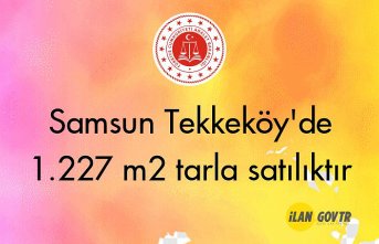 Samsun Tekkeköy'de 1.227 m² tarla icradan satılıktır