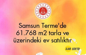 Samsun Terme'de 61.768 m² tarla ve üzerindeki ev icradan satılıktır