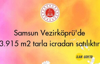 Samsun Vezirköprü'de 3.915 m² tarla icradan satılıktır
