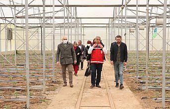 Samsun tarımında 55 hedef belirlendi