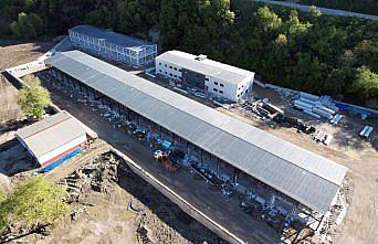 Selin vurduğu Bozkurt'ta yeniden yapılan sanayi sitesinde sona yaklaşıldı