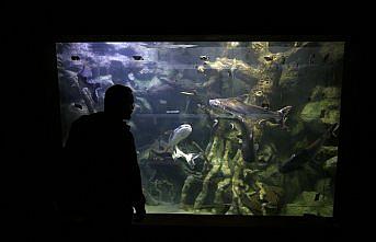 Tarihi vadilerin arasındaki 