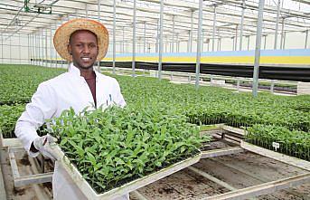 TOGÜ'de üretilen fidelerin satışı başladı