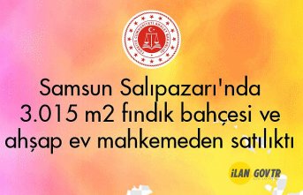 Samsun Salıpazarı'nda 3.015 m² fındık bahçesi ve ahşap ev mahkemeden satılıktı