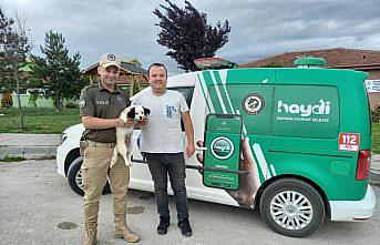 Bolu'da HAYDİ ekibi 