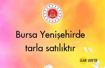 Bursa Yenişehirde tarla mahkemeden satılıktır