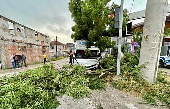 Düzce'de ağaca çarpan kamyonetteki 2 kişi yaralandı