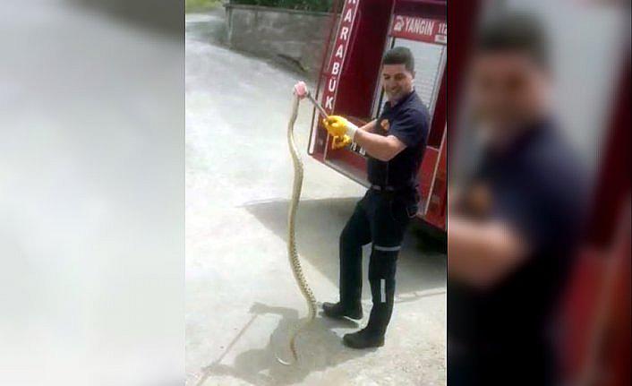 Karabük'te kümese giren 1,5 metre uzunluğundaki yılanı itfaiye yakaladı
