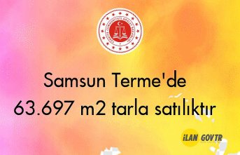 Samsun Terme'de 63.697 m² tarla mahkemeden satılıktır