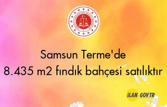 Samsun Terme'de 8.435 m² fındık bahçesi icradan satılıktır