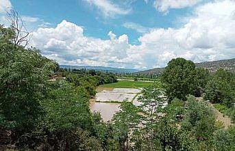 Sinop'ta sağanak nedeniyle oluşan taşkınlar tarım arazilerine zarar verdi