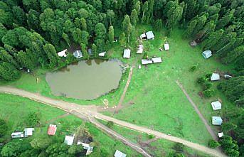 Yağışların sürdüğü Düzce'deki yaylalarda sessizlik hakim
