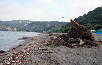 Zonguldak'ta selin denize sürüklediği odunlar kıyıya vurdu