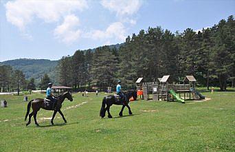 Abant'ta jandarmanın atlı timleri göreve başladı