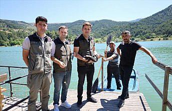 Çubuk Gölü'nde oltaya takılan balıkçıl kurtarıldı