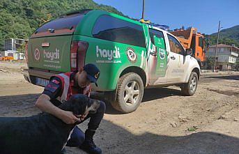 Jandarma, sel bölgesindeki sahipsiz hayvanlara da sahip çıkıyor