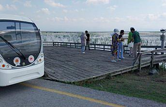 Kızılırmak Deltası Kuş Cenneti, 7 ayda 17 bin 726 ziyaretçi ağırladı