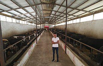 Mandırasının çatısını TKDK desteğiyle güneş enerji santraline dönüştürdü