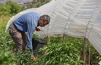 Organik tarımı “Dünya Ortak Evimiz“ kitabında anlattı
