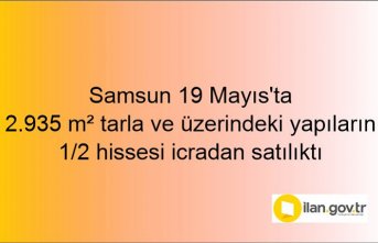 Samsun 19 Mayıs'ta 2.935 m² tarla ve üzerindeki yapıların 1/2 hissesi icradan satılıktı