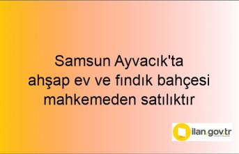 Samsun Ayvacık'ta ahşap ev ve fındık bahçesi mahkemeden satılıktır