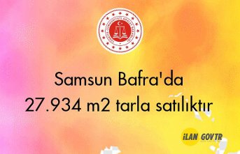 Samsun Bafra'da 27.934 m² tarla icradan satılıktır