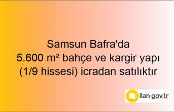Samsun Bafra'da 5.600 m² bahçe ve kargir yapı (1/9 hissesi) icradan satılıktır
