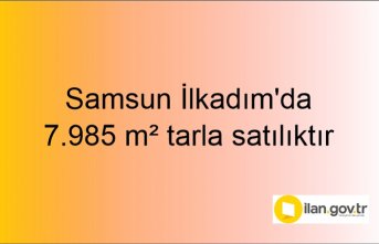 Samsun İlkadım'da 7.985 m² tarla mahkemeden satılıktır