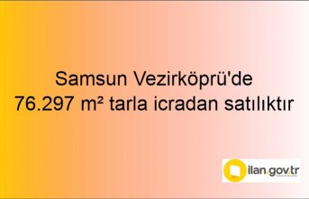 Samsun Vezirköprü'de 76.297 m² tarla icradan satılıktır