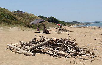 Selden etkilenen Sinop'ta sahillerin bir bölümü çöp ve ağaç parçalarıyla doldu