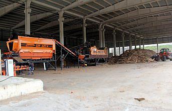 Selin getirdiği ağaç parçaları Sinop'ta enerjiye dönüştürülüyor