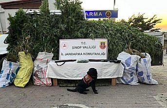 Sinop'ta 19 kilogram kubar esrar ele geçirildi